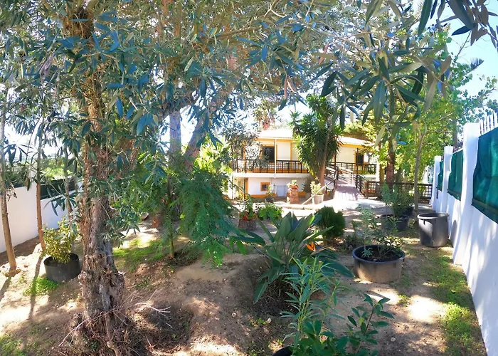Caparica, V4 House With Garden In Lazarim, Caparica